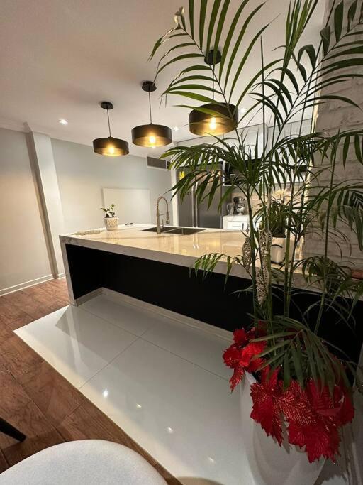 Hermoso Departamento En El Centro De מילאגרו מראה חיצוני תמונה